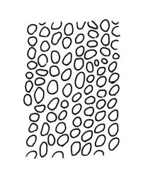 Macromitrium orthophyllum, upper transitional laminal cells.
 Image: R.C. Wagstaff © All rights reserved. Redrawn with permission from Vitt (1983). 